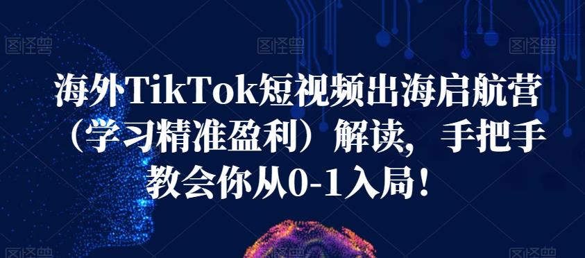 海外TikTok短视频出海启航营（学习精准盈利）解读，手把手教会你从0-1入局！-知享知识库