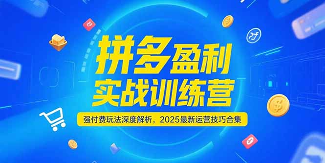 （15183期）拼多多盈利实战训练营，强付费玩法深度解析，2025运营技巧合集-更新6月-知享知识库