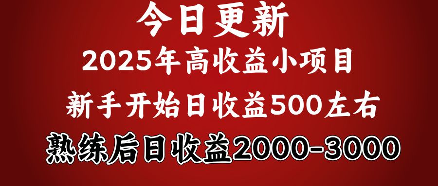 好项目一眼就能看出来,日收益1000,长久可做,2025拼的就是我比你勤奋-知享知识库
