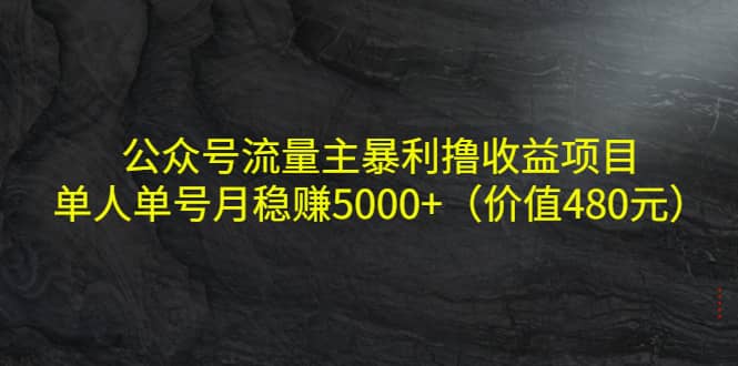 公众号流量主暴利撸收益项目，单人单号月稳赚5000+（价值480元）-知享知识库