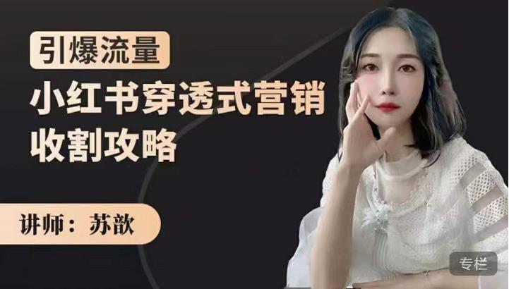 小红书穿透式营销收割攻略,引爆流量,助你玩转小红书-知享知识库