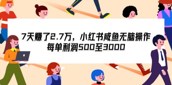 (12192期)7天收了2.7万,小红书咸鱼无脑操作,每单利润500至3000-知享知识库