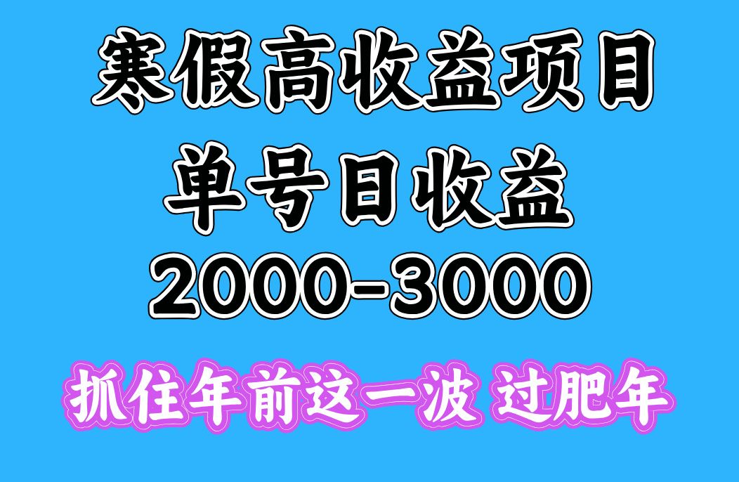 寒假期间一天收益2000-3000+,抓住年前这一波-知享知识库