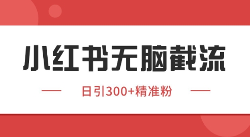 小红书截流同行客源,独家野路子获客玩法 日引200+暴力获客【揭秘】-知享知识库