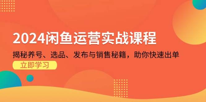 （13290期）2024闲鱼运营实战课程：揭秘养号、选品、发布与销售秘籍，助你快速出单-知享知识库