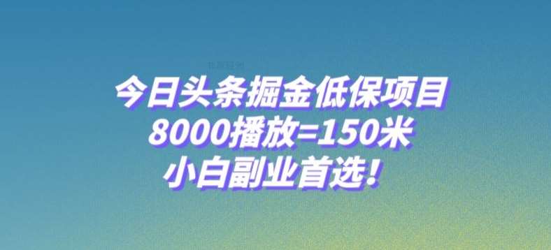 今日头条掘金低保项目,8000播放=150米,小白副业首选【揭秘】-知享知识库