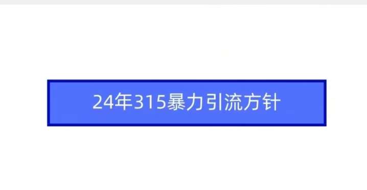24年315暴力引流方针-知享知识库