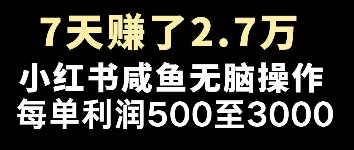(14183期)最赚钱项目之一,2025爆火,逆风翻盘!-知享知识库