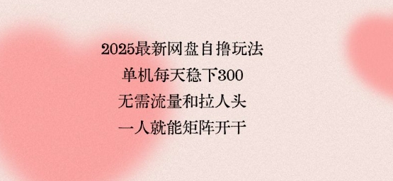 2025最新网盘自撸玩法，单机每天稳下3张，无需流量和拉人头，一个人就可轻松矩阵，全网独一份【揭秘】-知享知识库