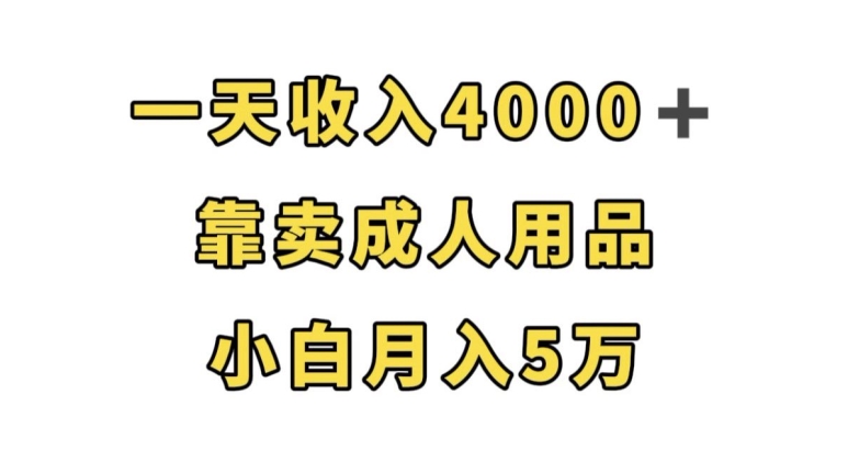 一天收入4000+，靠卖成人用品，小白轻松月入5万【揭秘】-知享知识库