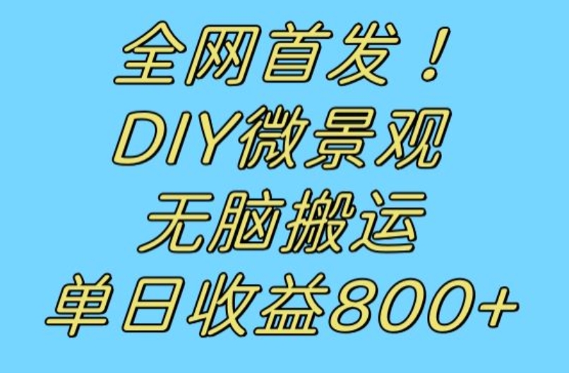全网首发冷门赛道！DIY微景观，无脑搬运视频，日收益800+【揭秘】-知享知识库