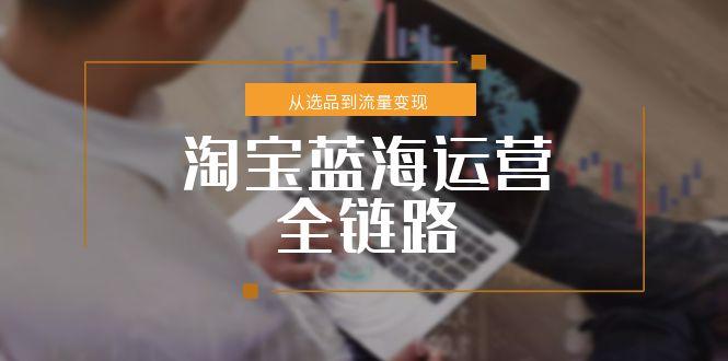 （15160期）淘宝蓝海运营全链路，从选品到流量变现，小类目突围完整方案-知享知识库