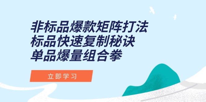（15068期）非标品爆款矩阵打法，标品快速复制秘诀，单品爆量组合拳-知享知识库