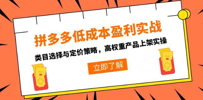 （15143期）拼多多低成本盈利实战，类目选择与定价策略，高权重产品上架实操-知享知识库