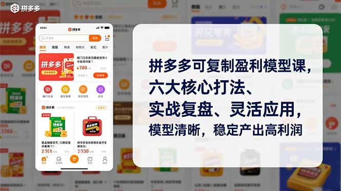 （16952期）拼多多可复制盈利模型课，六大核心打法、实战复盘、灵活应用，模型清晰，稳定产出高利润-知享知识库