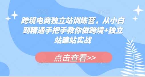 跨境电商独立站训练营，从小白到精通手把手教你做跨境+独立站建站实战-知享知识库
