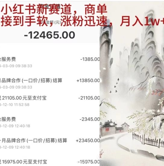 小红书新赛道，商单接到手软，涨粉迅速，一个月1w+-知享知识库
