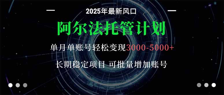 （16360期）阿尔法托管计划 单账号月入3000-5000，长期稳定项目，新手小白轻松上手。-知享知识库