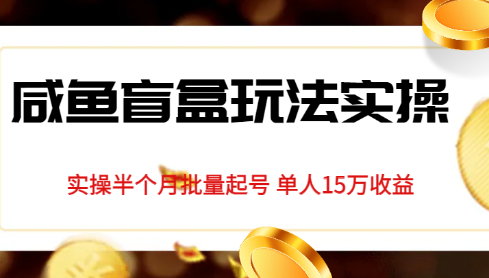 独家首发咸鱼盲盒玩法实操，半个月批量起号单人15万收益揭秘-知享知识库