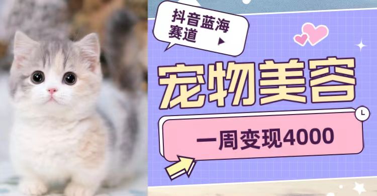 抖音蓝海赛道,宠物美容,一周变现4000-知享知识库