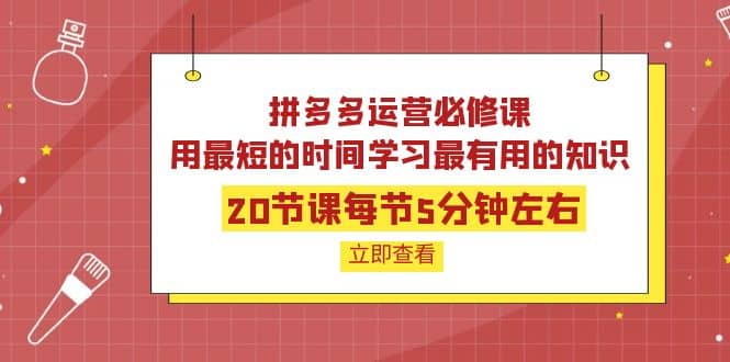 拼多多运营必修课：20节课每节5分钟左右，用最短的时间学习最有用的知识-知享知识库