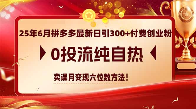 （14989期）25年6月拼多多最新日引300+付费创业粉，0投流纯自热 卖课月变现六位数方法-知享知识库