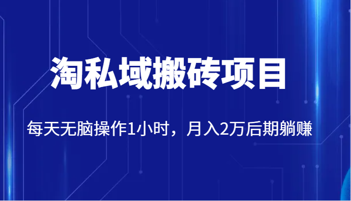 价值2980的淘私域搬砖项目,每天无脑操作1小时,月入2万后期躺赚-知享知识库