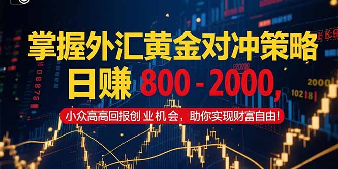 (15198期)掌握外汇黄金对冲策略,日赚 800 – 2000,小众高回报创业机会,助你实…-知享知识库