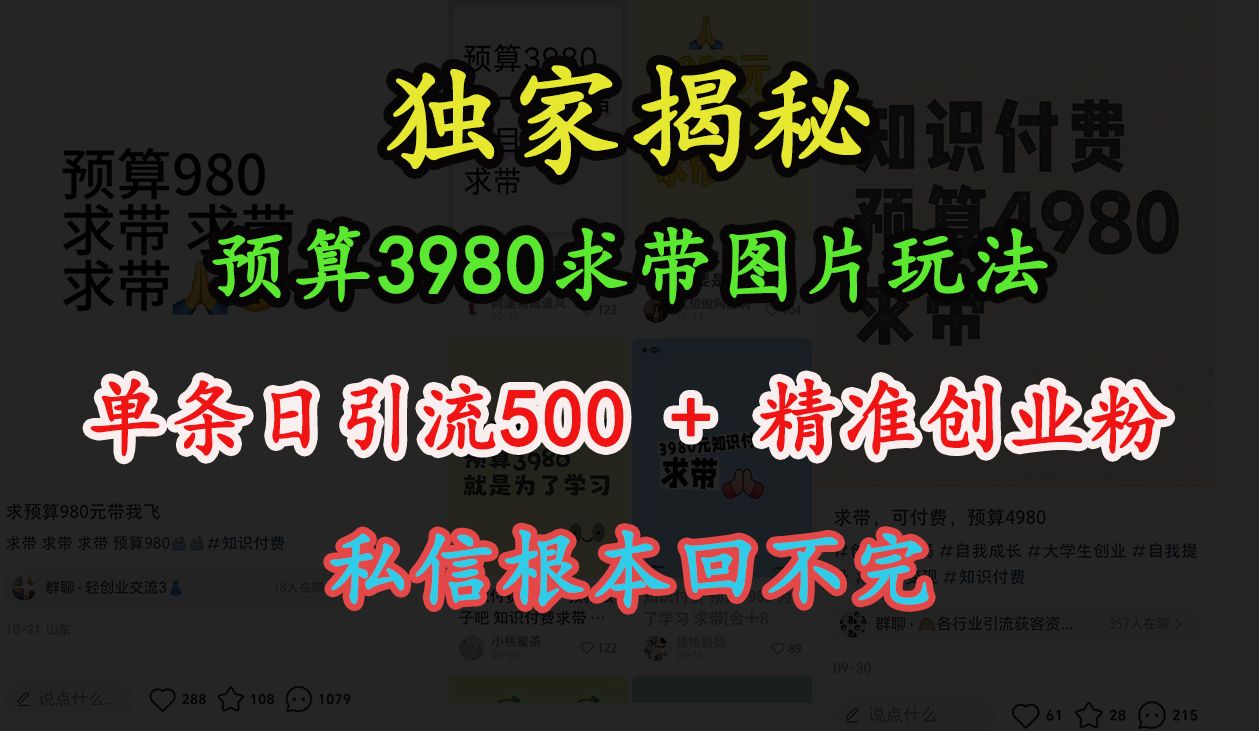 “小红书”预算3980求带 图片玩法，单条日引流500+精准创业粉，私信根本回不完-知享知识库