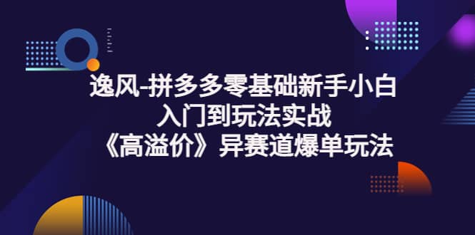 拼多多零基础新手小白入门到玩法实战《高溢价》异赛道爆单玩法实操课-知享知识库