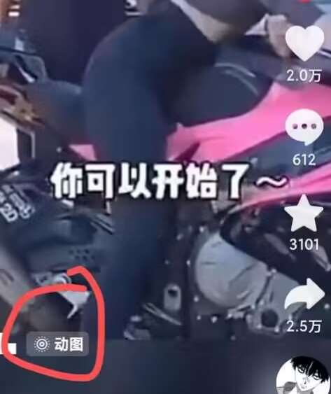 图片[2]-2024年7月苹果手机动图搬运技术-知享知识库