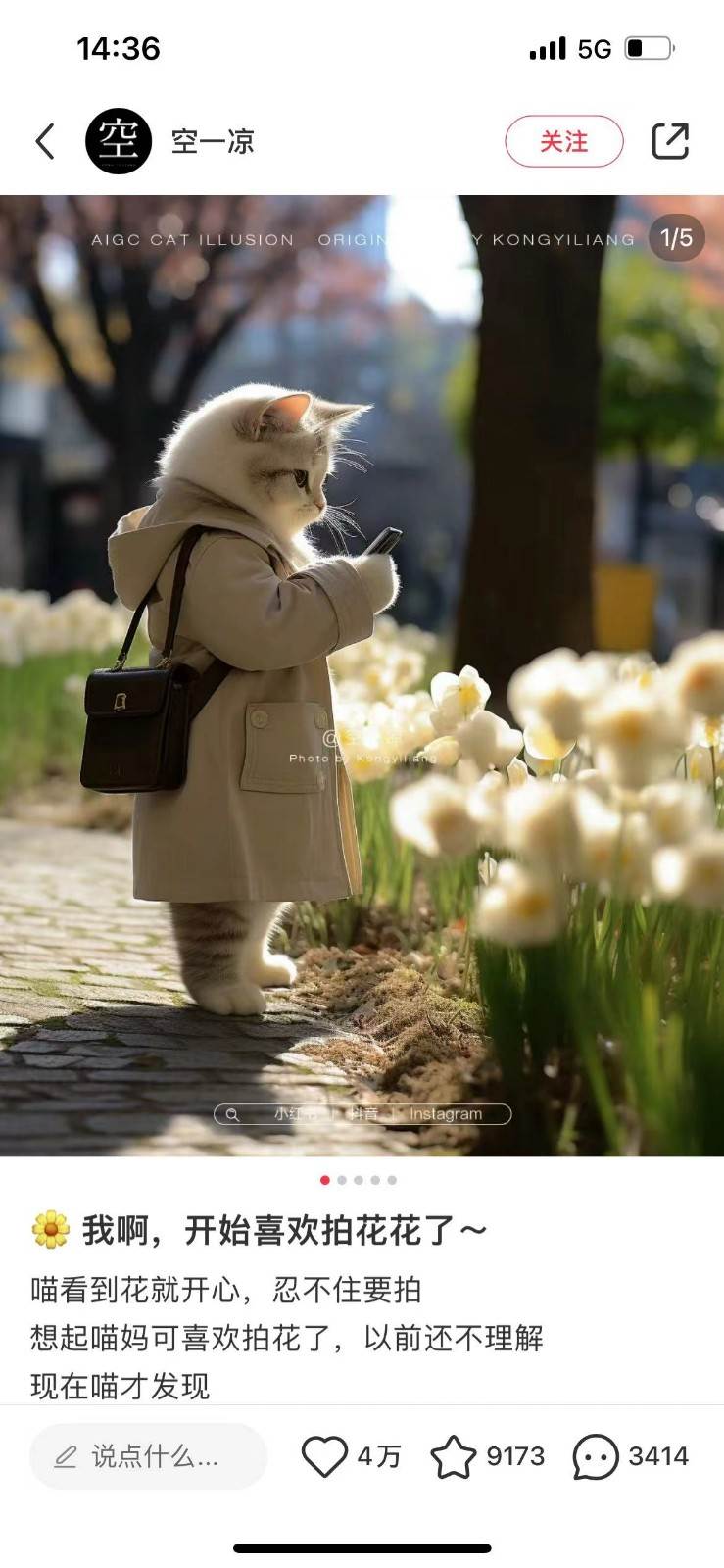 图片[2]-AI猫咪穿搭保姆级教程，起号容易，变现途径多-知享知识库