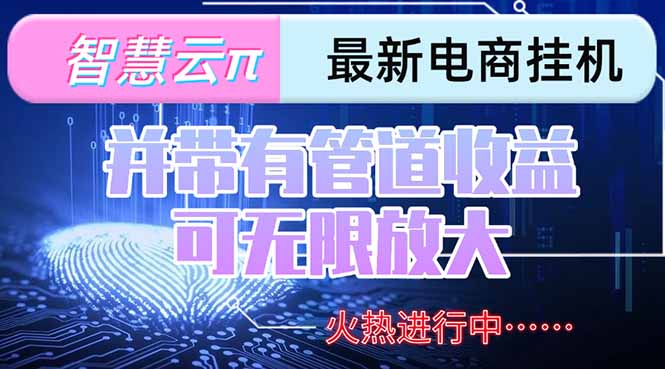 (15314期)智慧云π电脑挂机单机每天收益300—500+ 并带有团队管道收益 可无限放大-知享知识库