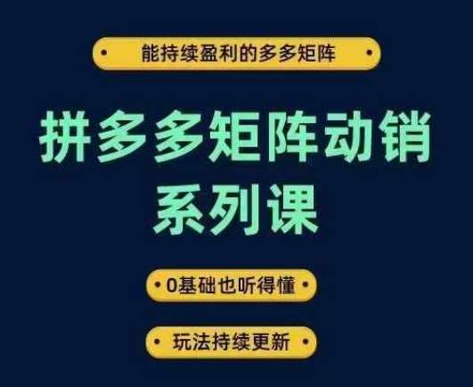 拼多多矩阵动销系列课，能持续盈利的多多矩阵，0基础也听得懂，玩法持续更新-知享知识库