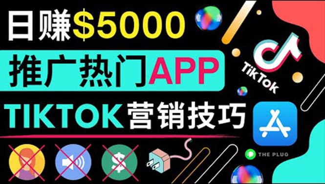 无需露脸，无需录音，无需投资，TIKTOK上传短视频，最高日入5000美元-知享知识库