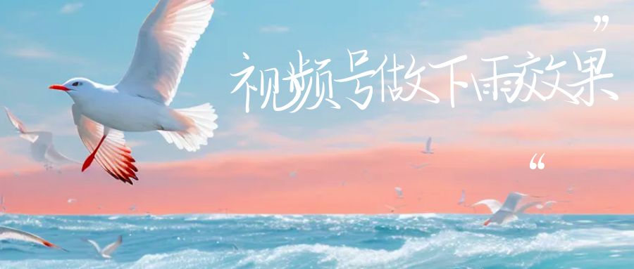 视频号做下雨视频，一个账号一周涨粉10W+，日入1000+附保姆级教程-知享知识库