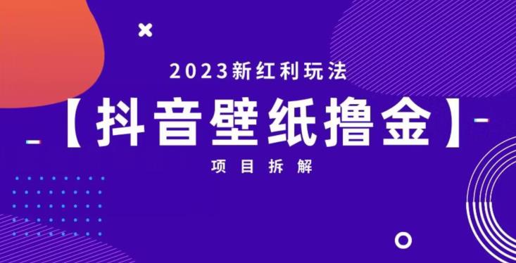 抖音壁纸小程序创作者撸金项目，2023新红利玩法【项目拆解】-知享知识库