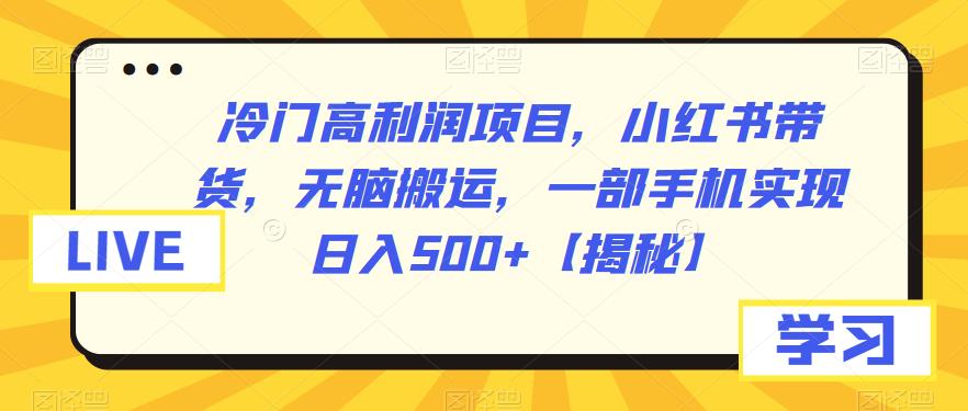 冷门高利润项目，小红书带货，无脑搬运，一部手机实现日入500+【揭秘】-知享知识库