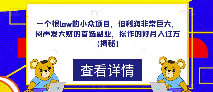 一个很low的小众项目,但利润非常巨大,闷声发大财的首选副业,操作的好月入过万【揭秘】-知享知识库