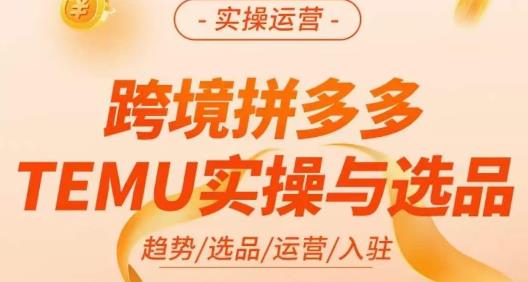 伍跃·跨境拼多多TEMU实操与选品，​趋势/选品/运营/入住（27节完整）-知享知识库