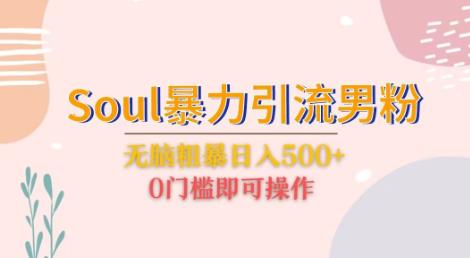 Soul暴力引流男粉玩法，无脑粗暴日入500＋，0门槛即可操作【揭秘】-知享知识库