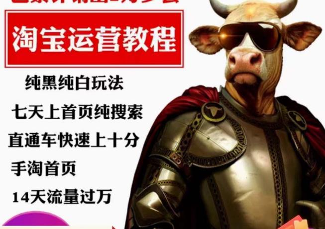 猫老师·淘系算法逆向解密，​纯黑纯白玩法，七天上首页纯搜索，手淘首页14天流量过万-知享知识库