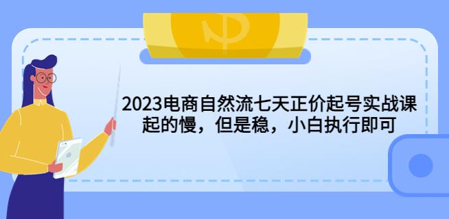 2023电商自然流七天正价起号实战课：起的慢，但是稳，小白执行即可！-知享知识库