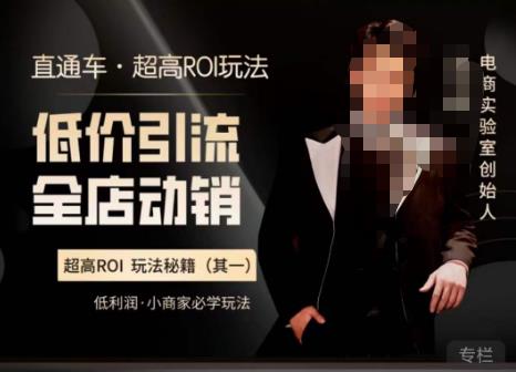 电商冰可乐·直通车·《低价引流·全店动销》,直通车·超高ROI玩法(其一)全店动销必学玩法-知享知识库