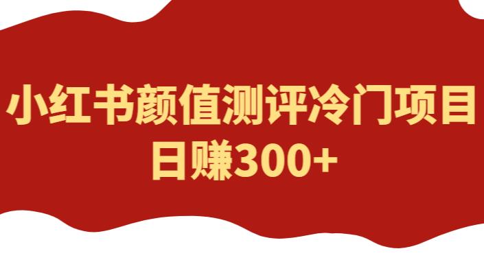 外面1980的项目，小红书颜值测评冷门项目，日赚300+【揭秘】-知享知识库