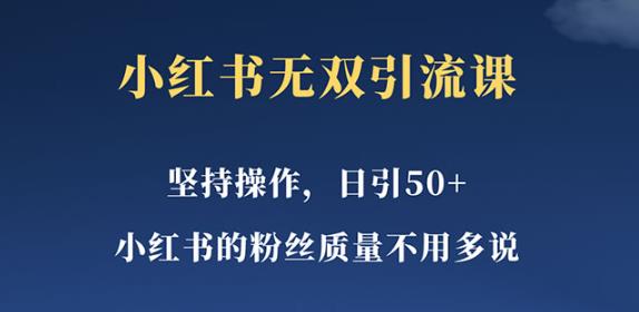 小红书无双课一天引50+女粉,不用做视频发视频,小白也很容易上手拿到结果【仅揭秘】-知享知识库