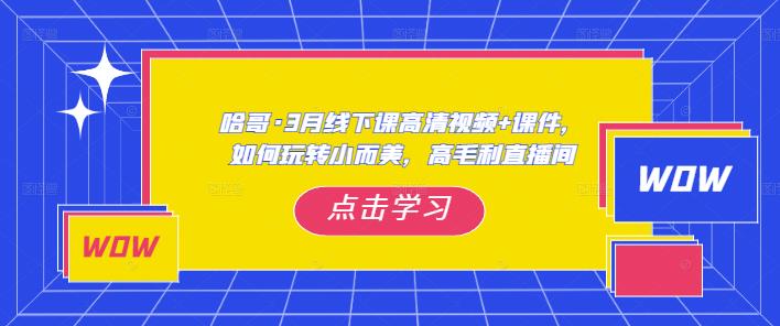 哈哥·3月线下实操课高清视频+课件，如何玩转小而美，高毛利直播间-知享知识库