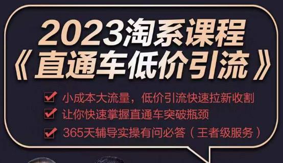 2023直通车低价引流玩法课程,小成本大流量,低价引流快速拉新收割,让你快速掌握直通车突破瓶颈-知享知识库