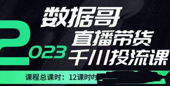 数据哥2023直播电商巨量千川付费投流实操课，快速掌握直播带货运营投放策略-知享知识库