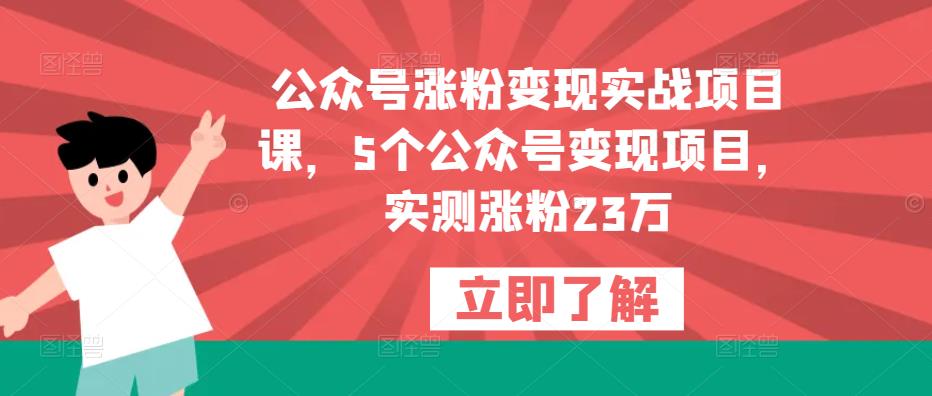 公众号涨粉变现实战项目课,5个公众号变现项目,实测涨粉23万-知享知识库